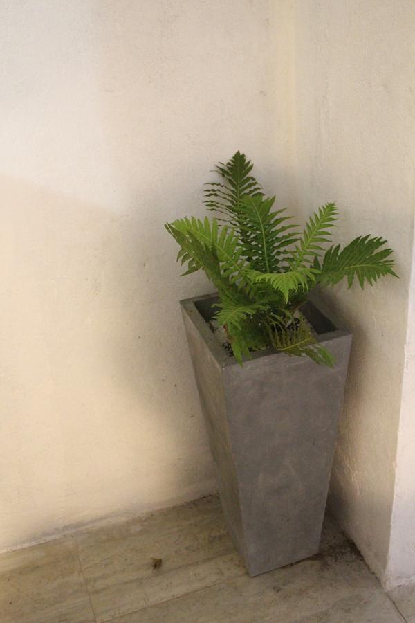 Apartment Araliya *